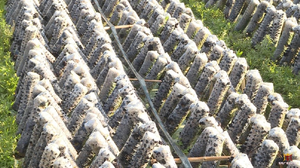 1647838773159952.jpeg 11-36-31-31-283825.jpeg