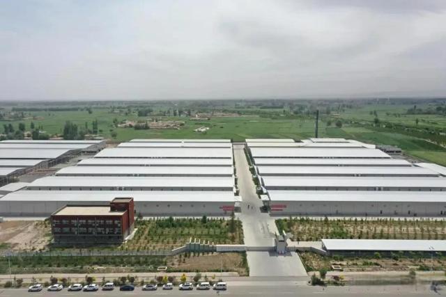 1648108734135928.jpeg 09-15-54-93-283825.jpeg