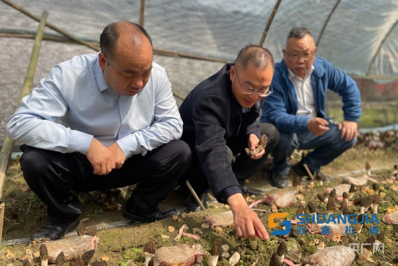 1648602448689479.jpg 1000.jpg