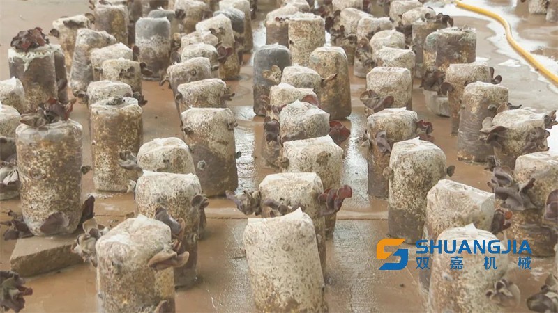 1648688404327753.jpg 15-20-05-53-283825.jpg