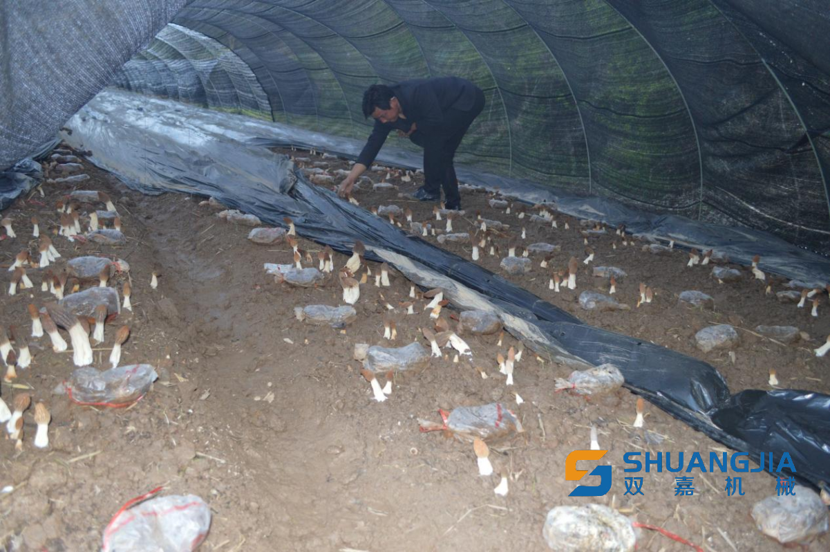 1648779351132910.png 17-16-20-50-283825.png