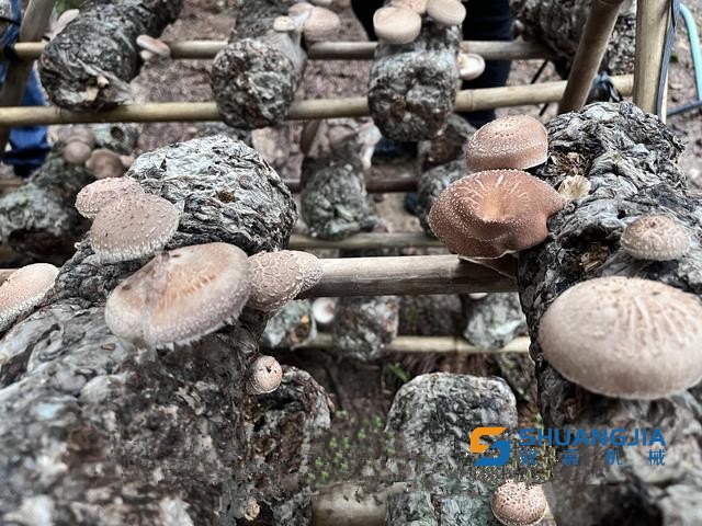 1648779817655168.jpg 09-27-50-16-283825.jpg